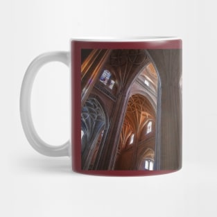 Spain. Segovia. Cathedral. Vaults. Mug